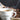 Steaming coffee cup with Farmer Brother's logo surrounded by coffee beans.